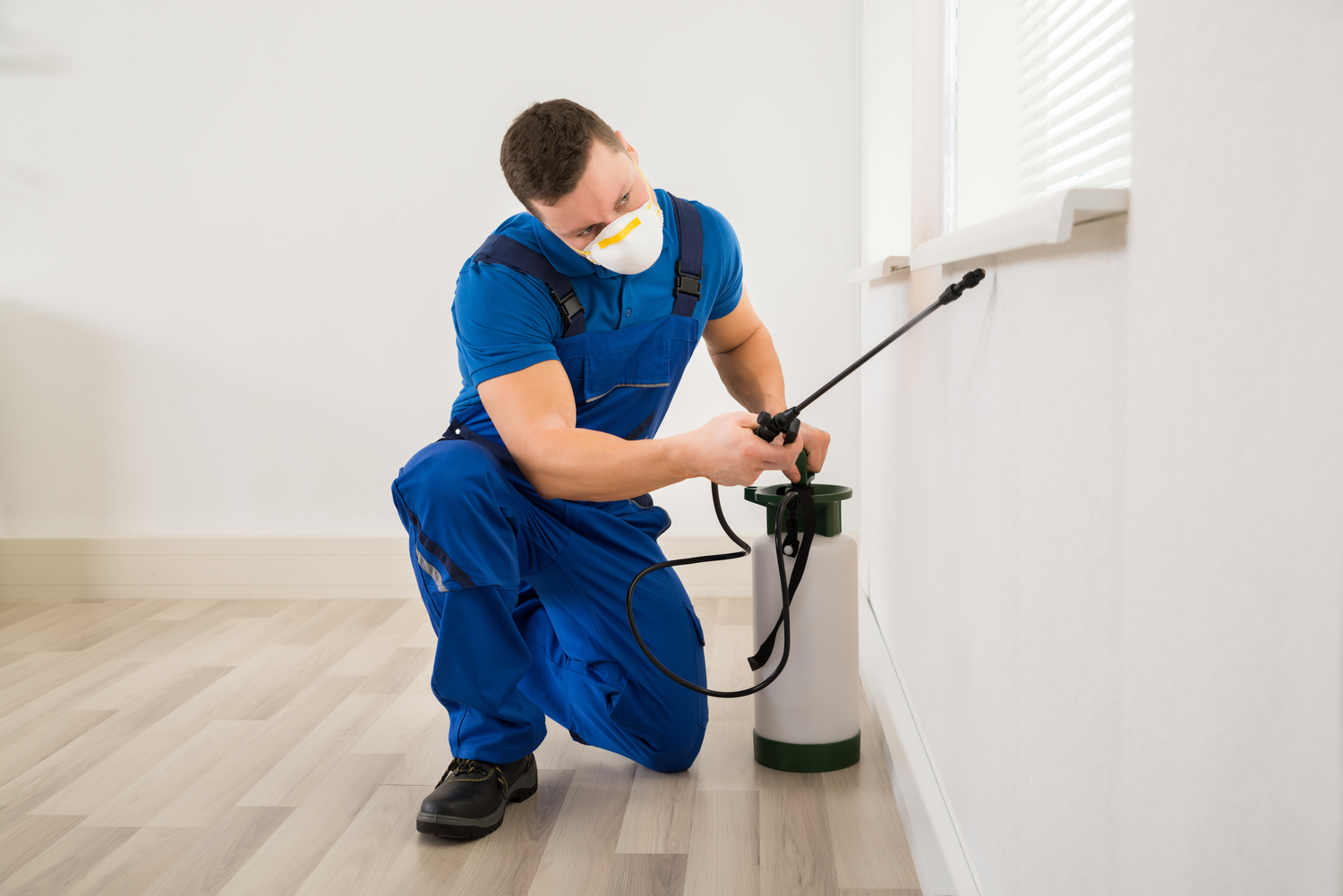 Pest Control – Types, Cost, And Top Services