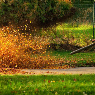 Planning on buying a leaf blower? Here’s what you need to know
